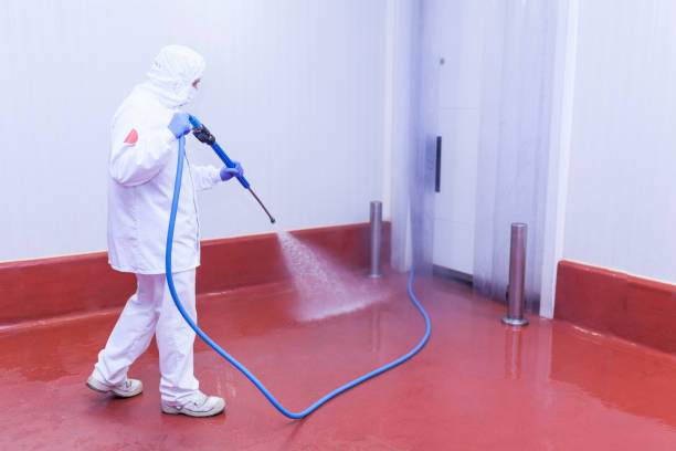 Best Building Exterior Washing  in Hartley, CA